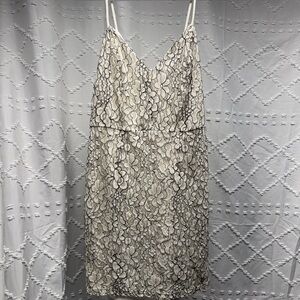 Ivory & Black Womens Medium Whimsical Goth Floral Lace Slip Dress